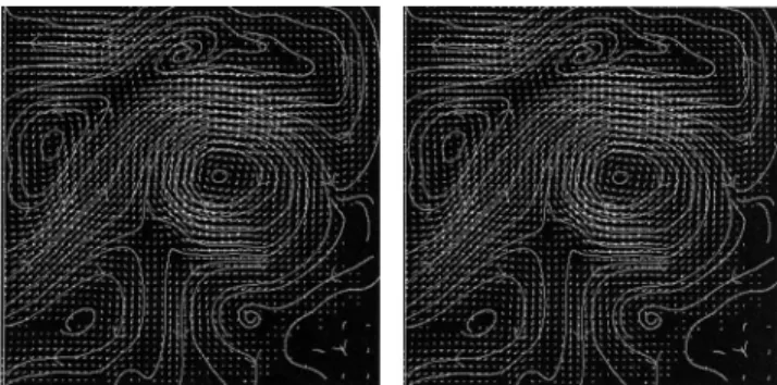 Fig. 5. Total brightness invariance model computed on three success- success-ive images.