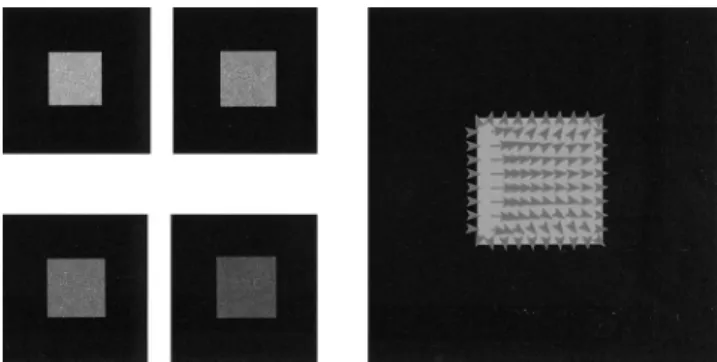 Fig. 2. Result of the brightness invariance model on an IR image.