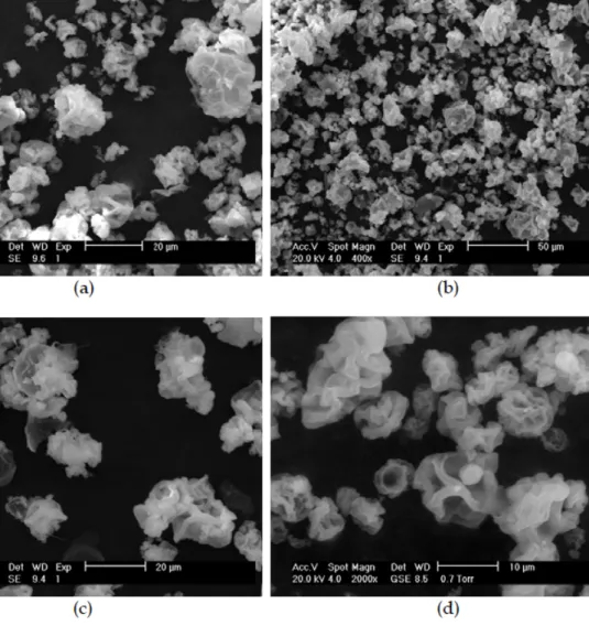 Fig. 12. SEM images of 5-ASA-loaded spray-dried xylan and ES100 microparticles in     different polymer weight ratios (Unpublished data)