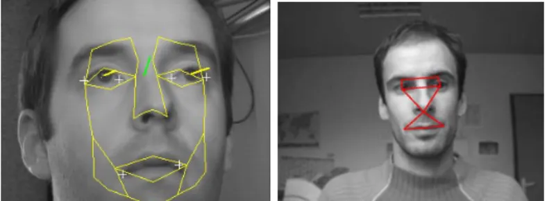 Figure 2.2: Using of a head model to detect eye and gaze orientation.