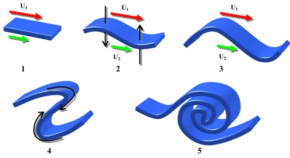 Figure 10 : Formation d'un tourbillon de Kelvin-Helmholtz 