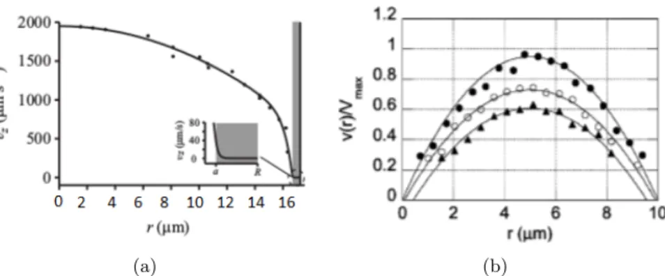 Figure 1.8: Velocity profiles inside capillaries. Velocities of fluorescent beads flowing (a) in vivo ; (b) in glass microchannels for different brush thicknesses h: (black circle) h = 0nm; (white circles) h = 200nm; (black triangles) h = 400nm
