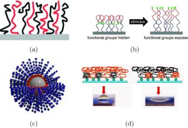 Figure 3.2: Examples of polymer brush architectures: (a) mixed brush, made of different kind of grafted polymers; (b) block  copoly-mer brush, constituted by interchanged blocks of different kind of monomers/polymers in the same linear chain; (c) brush on 