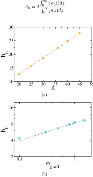 Figure 3.4: Our brush model is perfectly conform to the mentioned scal- scal-ing laws supported by theory: (a) it fits the linear behavior as  func-tion of the chain length n (σ graf t = 1.5) and (b) the power law behavior with power 1/3 as function of the