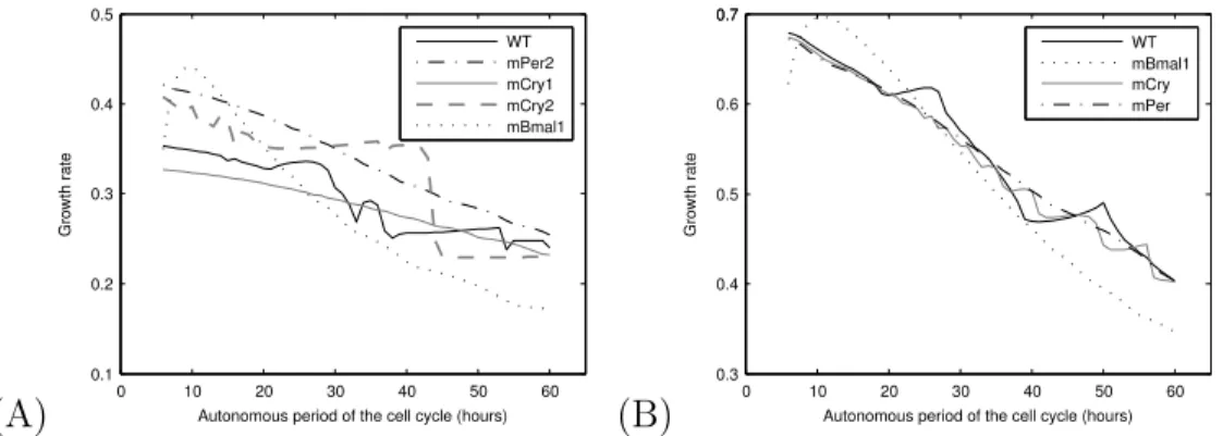 Figure 8: Effects of mutating circadian genes on the growth rate. Simulations were per- per-formed with other models chosen from literature for the circadian clock (Mirsky et al