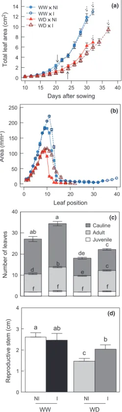 Fig. 5 Effects of Phyllobacterium brassicacearum STM196 and water deficit (WD) on plant physiology and carbon status of Arabidopsis thaliana Col-0