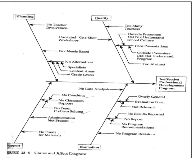 Figure 1 :  Diagramme d’Ishikawa:  causes et effets 3 .  