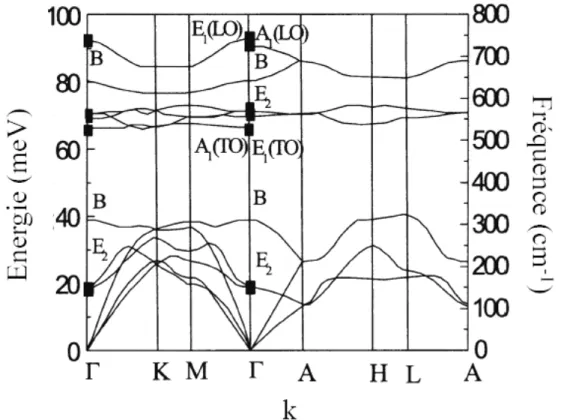 Figure I-4: Courbes de dispersion des phonons acoustiques et optiques dans GaN würtzite  [17]