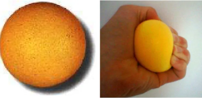 Figure 3.1 – Une balle avant et après déformation