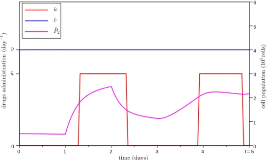 Figure 4.3: An optimal protocol with 0 ≤ δ u ¯ and limited cytotoxic. We consider a maximal cumulative dose of cytotoxic ¯U = 2 days·¯ u, whereas T = 5 days, τ = 1 day; the other parameters are given in Appendix 4.A.3