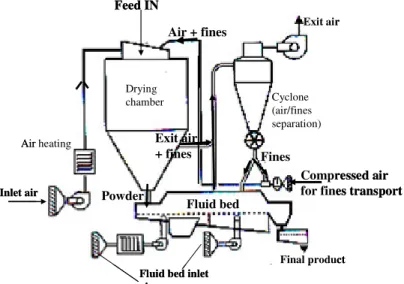 Figure 1.26.  Two stage spray dryer with external fluid bed (adapted from Pisecky, 1997).