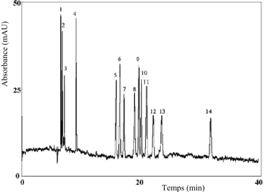 Figure I.30. Séparation simultanée des catécholamines, indolamines et metanephrines  avec une solution 1,2% PDDAC et inversion d’EOF  