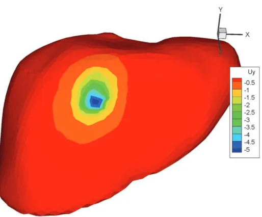 Figure 10: Result for the FEM model, displacement u y , [ mm ].