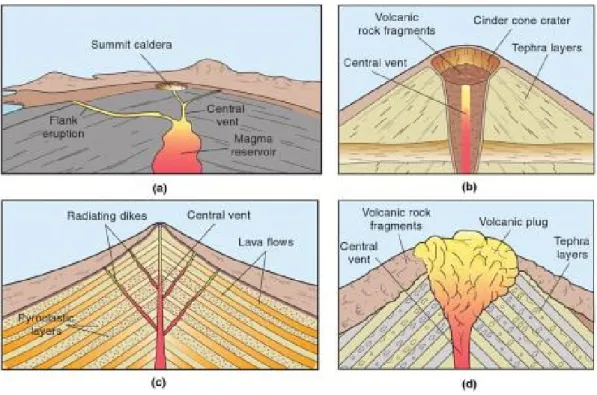 Figure 1.1: Types of volcanoes - The four basic type of volcanoes are: (a) shield vol- vol-cano, (b) cinder cone, (c) stratovolcano and (d) plug dome