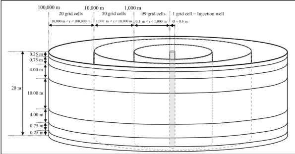 Figure 2: Geometrical 2D radial model for supercritical CO 2  injection in a carbonate reservoir