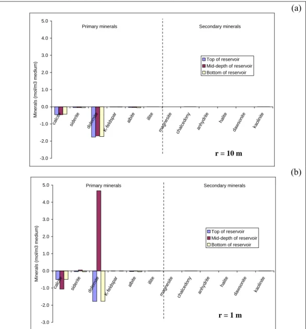Figure 5: Results obtained with Scenario 1A - Variations in mineral concentrations around the  injection well after a 300-day period of supercritical CO 2  injection (flow rate = 1 kg s -1  and T = 75 
