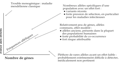 Figure 2.1 : Trois composantes majeures du modèle génétique : nombre de gènes, fréquences alléliques et effets