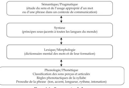 Figure 1.1 : Composantes du langageSémantique/Pragmatique