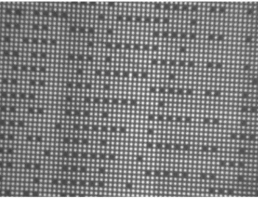 Figure 3.13: Image of a local area of Pseudo-Periodic Pattern (PPP) where every dot is 2 µm in diameter.