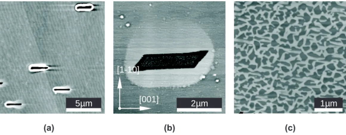 Figure 5. Unwetting of Mo(8 nm)/Al 2 0 3 (1120). (a) After annealing at 900 ± 50 ◦ C.