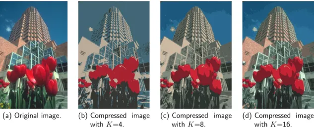 Figure 3.6: Example of image color compression using K-Means pixel color modeling.