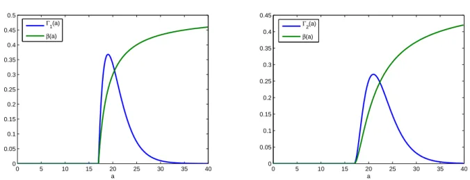 Figure 3: The two different gamma functions and their corresponding division rate β(a) are plotted for coefficients m = 17 and σ = 2.