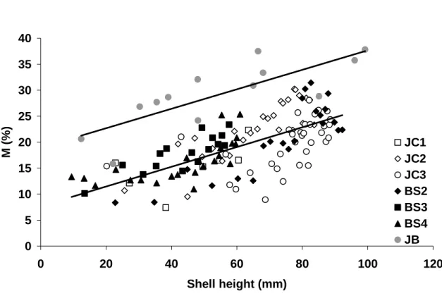 Figure 8. Percent metabolic C (%C M ) incorporated into Mercenaria mercenaria shells plotted  versus shell height (H in mm)