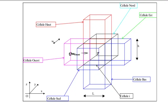 Figure 2.3 : Orientation et notations relatives aux équations appliquées dans les cellules