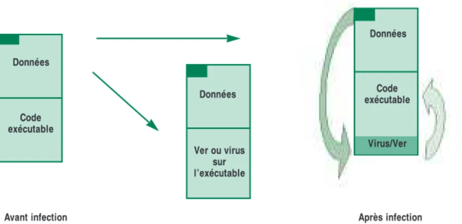 Figure 6: contamination par un virus ou un ver informatique
