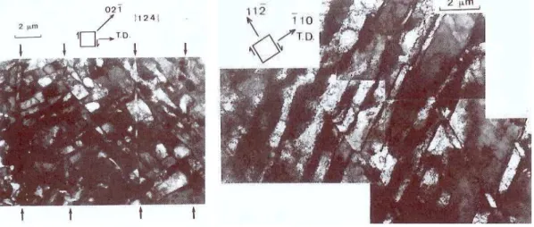 Fig. 1.4 – Apparition de microbandes dans un acier bas carbone après un trajet orthogonal [RS89]