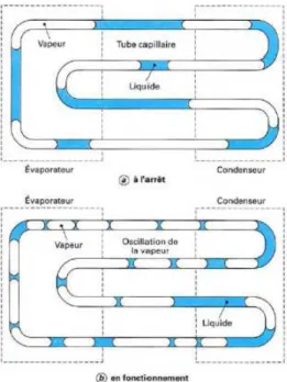 Figure 10 : Principe de fonctionnement du caloduc pulsé [15] 