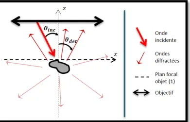 Figure  I.2-3). Pour des  échantillons de permittivité  élevée, en revanche,  l’approximation  de Born n’est 