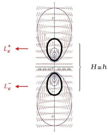 Fig. 4 – Les deux composantes connexes de l’int´egrale premi`ere.