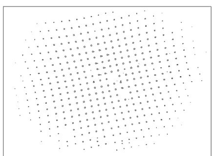 Fig. 2.3 – Image longue pose de la grille de calibration de la distorsion avant la correction.