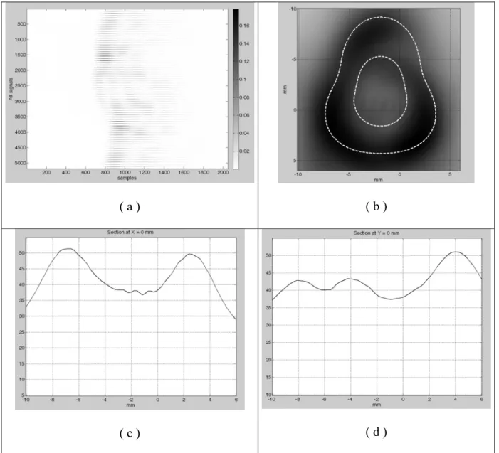 Figure 9: Ultrasonic first-order Born diffraction tomography of the non-circular elastic tube