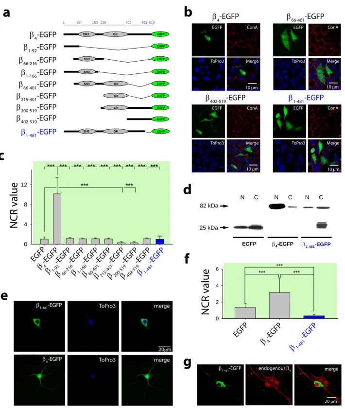 Figure 2 (De Waard)