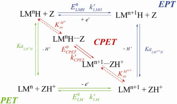 Figure I-14 : Mécanismes pour un transfert de proton couplé à un transfert d’électron