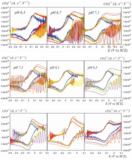 Figure II-18 : Voltamétrie cyclique de la première vague d’oxydation du complexe  [Os(bpy) 2 py(H 2 O)](PF 6 ) en tampon Britton Robinson 