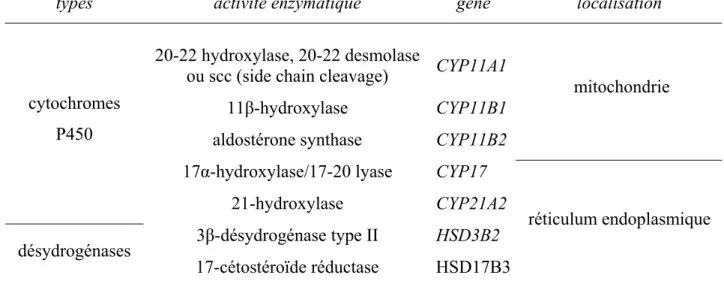 Tableau 1 - Les enzymes impliquées dans la biosynthèse des stéroïdes surrénaliens. 