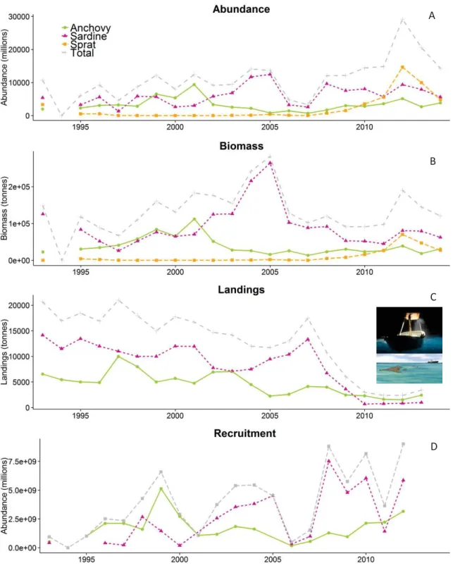 Fig.  2  A)  Trend  in  total  abundance  (number)  and  B)  biomass  (tonnes)  of  anchovy,  sardine  and  sprat  in  the  Gulf  of  Lions  estimated from a July acoustic survey (see chapter 2)