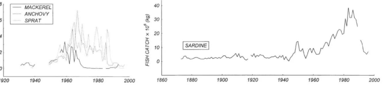 Fig. 10 Interannual catch series of sardine (a) mackerel, anchovy and sprat (b) from the Eastern Adriatic
