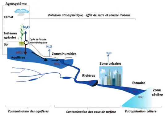 Figure 1-1. Schéma de la cascade de l’azote dans les bassins hydrographiques d’après Billen et al