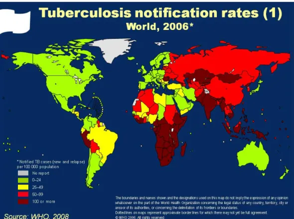Figure 6 :  Incidence de la tuberculose dans le monde (World Health Organization, 2006).