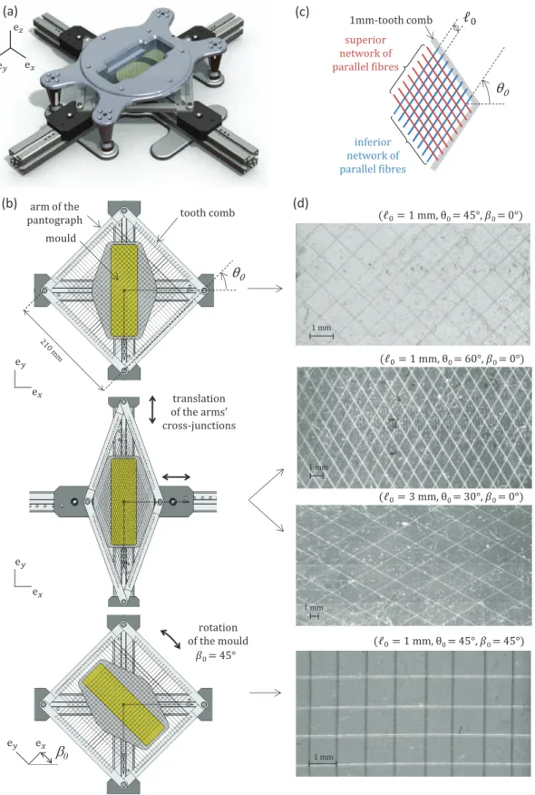Figure 2. (a) 3D-scheme of the device designed to manufacture the composite membranes.