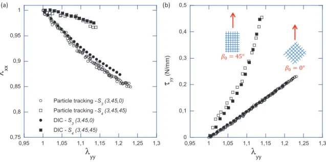 Figure 4. Comparison between global kinematics at the macroscale determined by 2D DIC and local kinematics at the microscale determined by tracking of experimental REC extremities