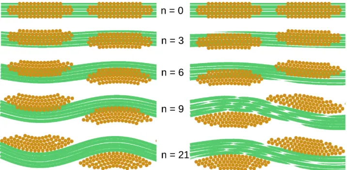 Figure  15.9  :  details   of   the  evolution   of   tows  cross-sections   for  different   increments   during   the  computation of the initial configuration for a plain weave (left) and a twill weave (right).