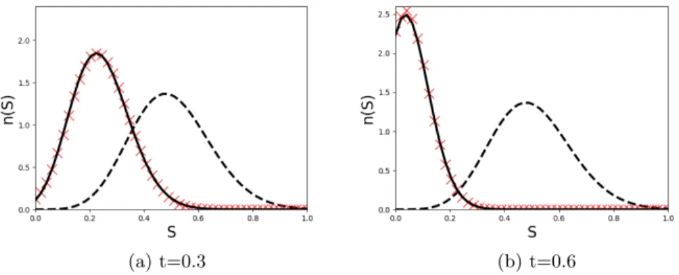 Fig. 7: The evolution of the NDF in the case of a linear evaporation rate: initial ME reconstructed solution (dashed line), NEMO algorithm using n q − = 1 (cross), and exact kinetic solution (solid line), at times t = 0.3 and t = 0.6.