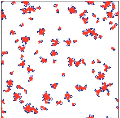 Figure 1. Snapshot conformation for model α s1 -casein with intra molecular hydrophobic interac- interac-tions included (red = hydrophobic segments, blue = hydrophilic segments).