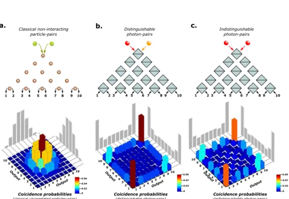 Figure 1.10: Two-particles walk with classical non-interacting particles and photons. (a) Classical non-interacting particles propagating in a Galton’s board network