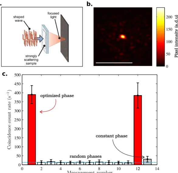 Figure 1.13: Controlling a single-photon Fock state through opaque scatter- scatter-ing media usscatter-ing an optimization algorithm
